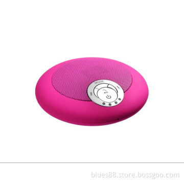 Mini Portable Bluetooth Speaker Support U Disk&TF Card Bt-228
